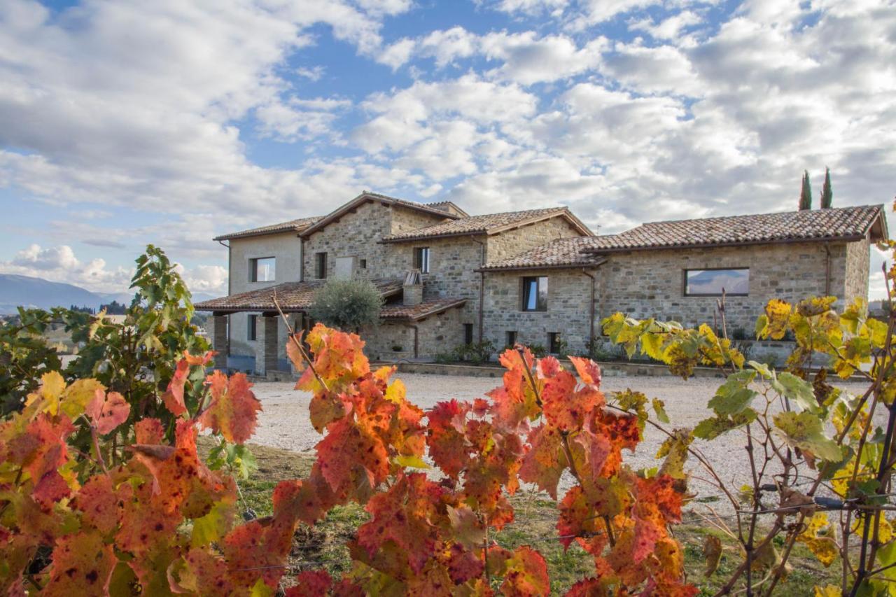 Fattoria Colsanto Villa Torre del Colle Exteriör bild